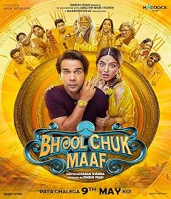 Bhool Chuk Maaf (2025) Hindi Movie